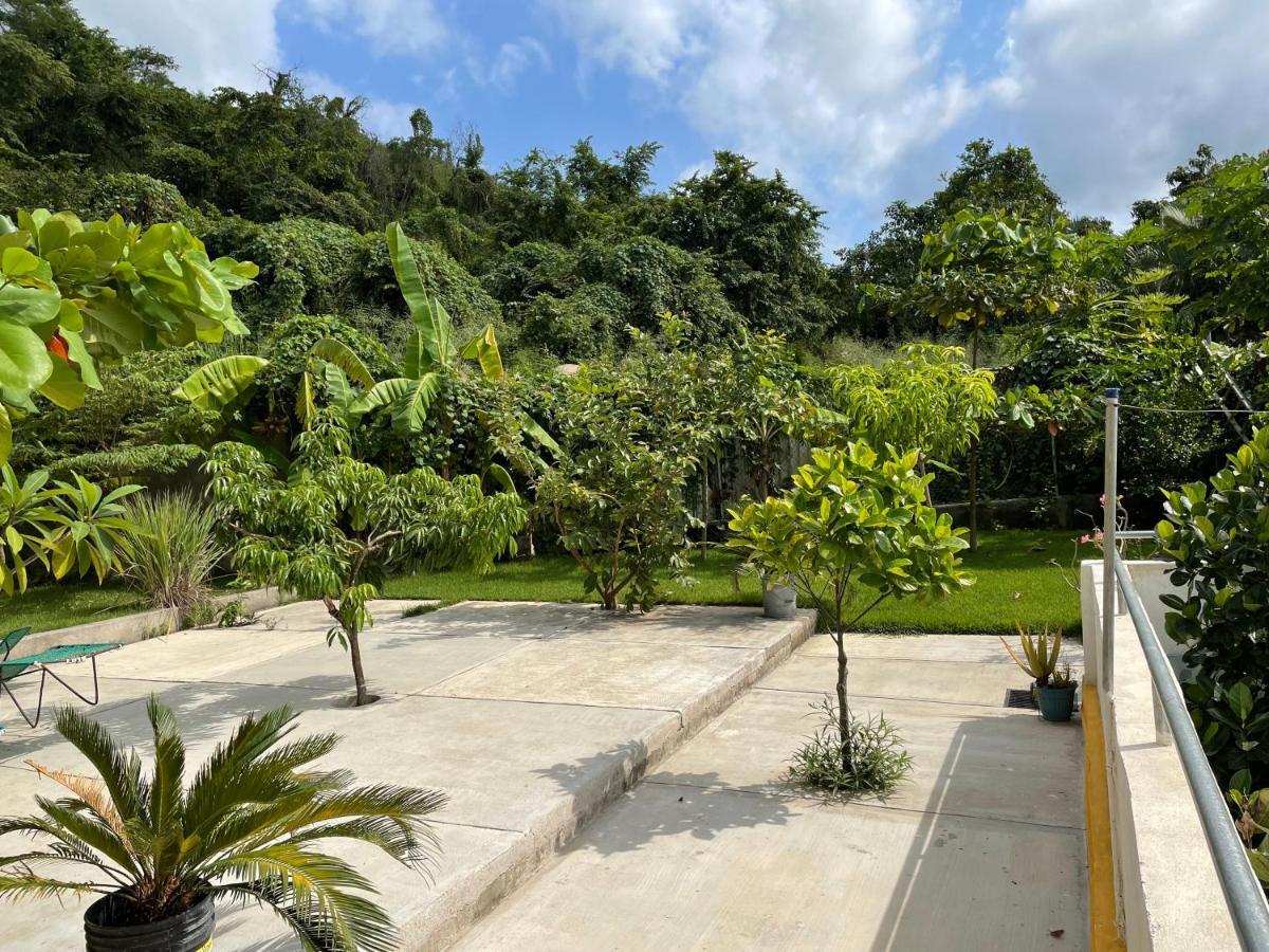 Amanecer Villa Sayulita Exterior photo